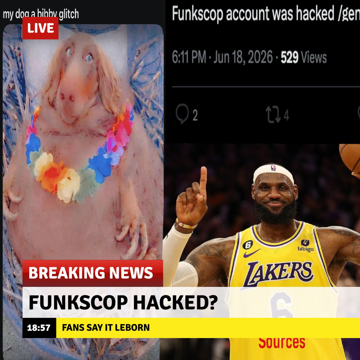 Funkscop1997's tweet photo. Report: Repordetly A bibby glitch may be to blame for Funkscop account hacked

Or Lebron

#News https://t.co/mKPG9RakaE