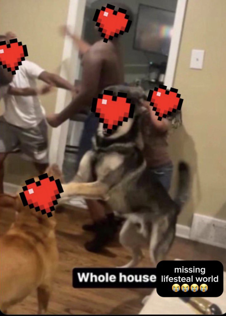 rayyy ᭝🧁 + young prodigies live on / nulled w ren tweet media