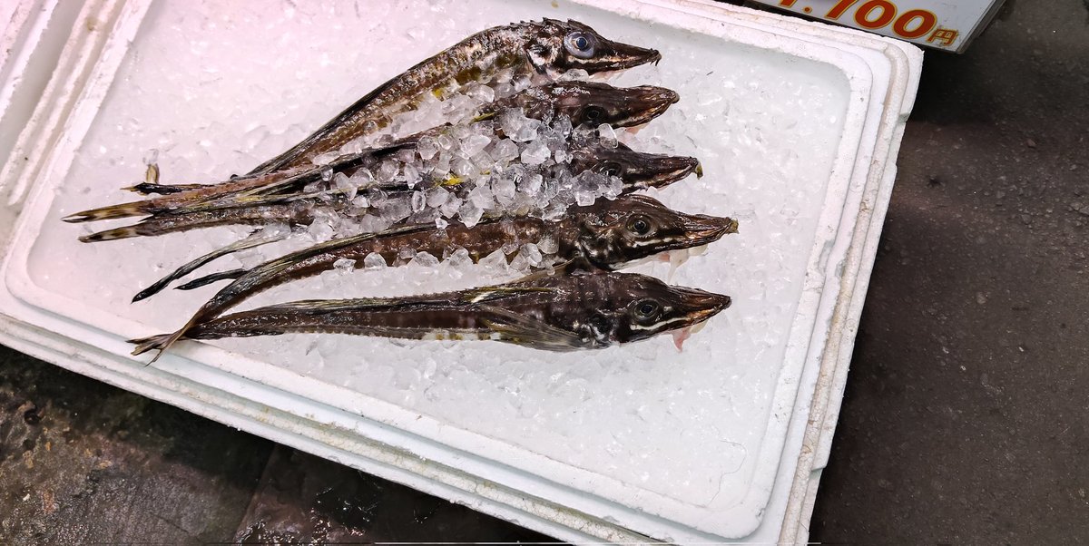 bea_06bea's tweet photo. 1週間に10食、魚や海鮮料理でも大丈夫と豪語していたり好きだったりするわけだけど、さすがに21食は無理かもと思う旅です。でも思い残すことはまだたくさんあるのが北海道のおそろしいところ。八角の刺身おいしかった https://t.co/M4x8yNM9t8