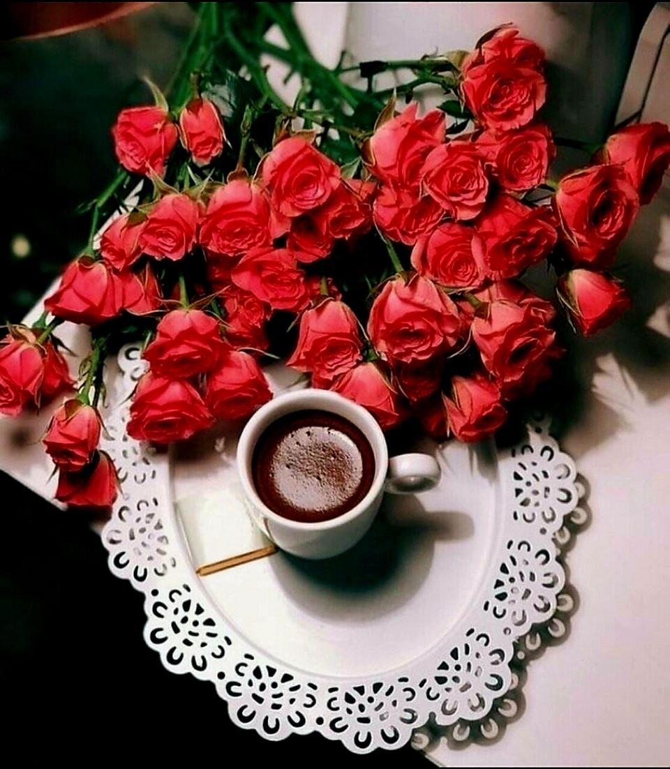dkh042903's tweet photo. good morning  ☕️
#좋은아침 #커피 #장미꽃 #붉은장미 #휴식 https://t.co/fhesZJijfZ