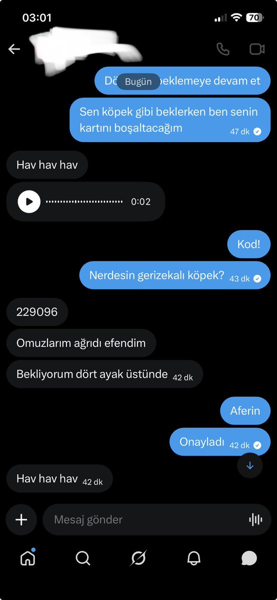 Gamze tweet media
