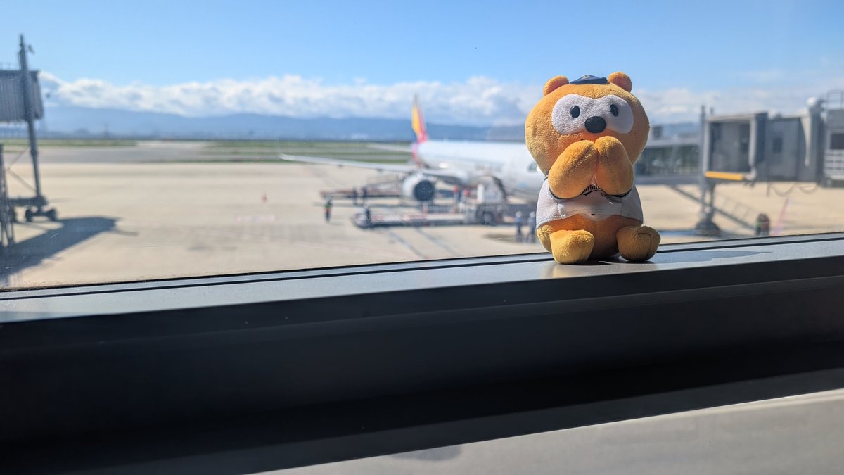 bacardi841's tweet photo. 飛行機だよポンタ https://t.co/mJ4XMmGm1w