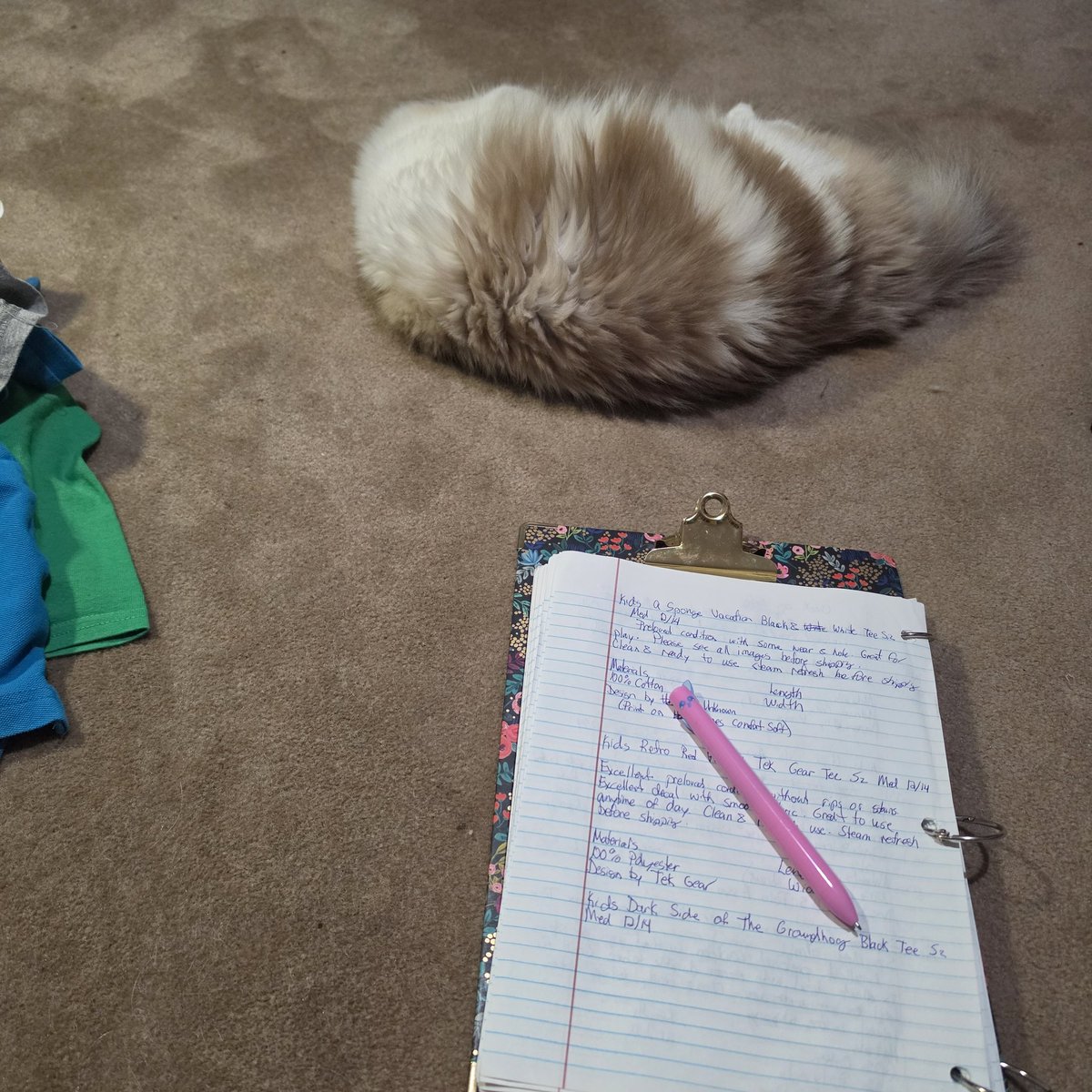 lunaball_21's tweet photo. I have been working to add more kids shirts.  My animal family wanted to hang out. (Already do at day &amp; night) They are good company but I can't get my work done ugh.  #lovemyfurbabies #adopt #rescued #shopsecondhand https://t.co/4ZnRHApXru