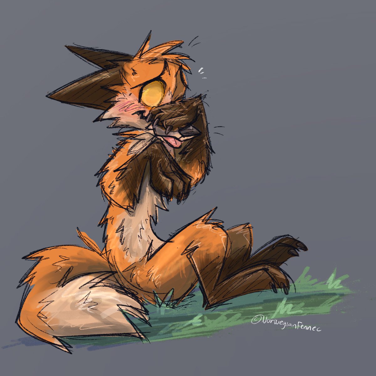 NorwegianFennec's tweet photo. 🫣❤️ Blushy fops 🐾🦊

#furry https://t.co/qtCujdQVEw