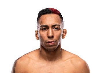 Finz Chats MMA tweet media