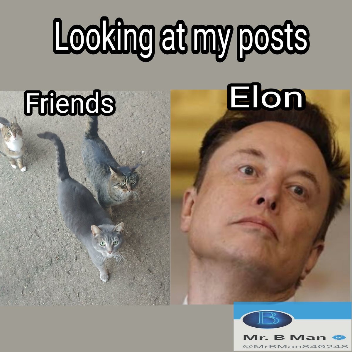 Mr. B Man tweet media