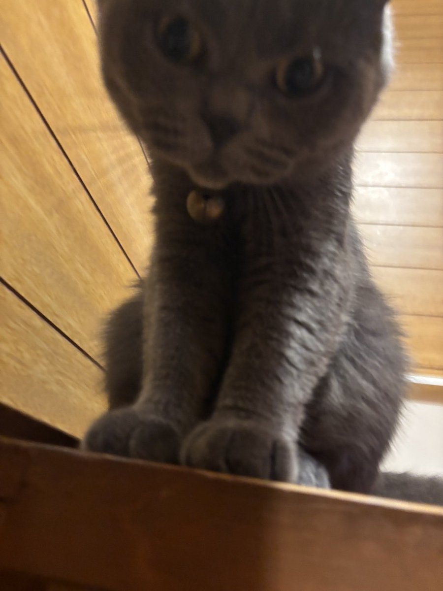 nikokyuu's tweet photo. 下界のものども https://t.co/pv1Ph7sIw4