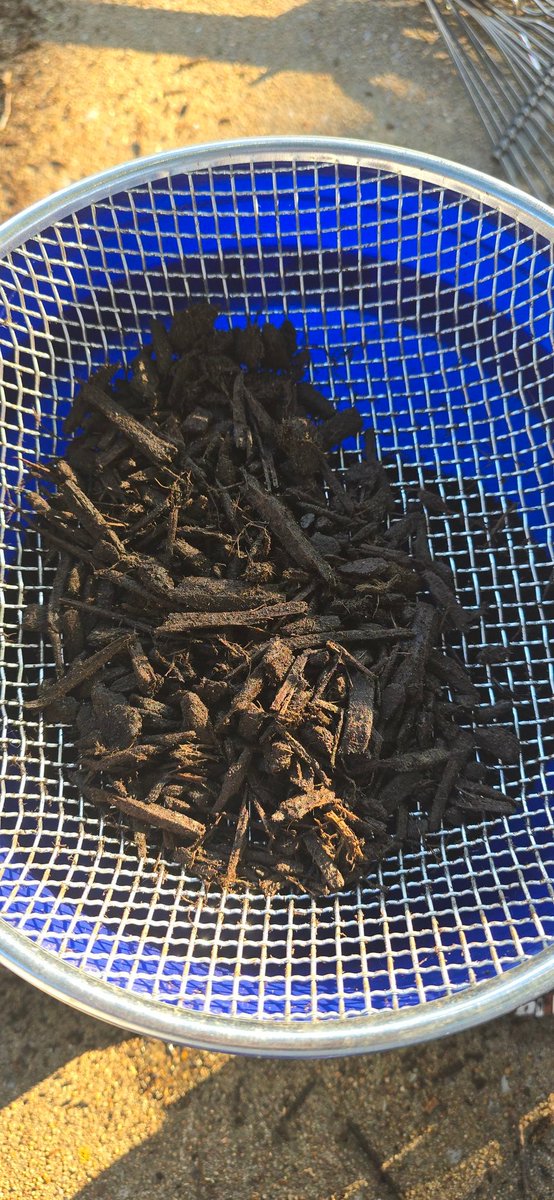 Lj_8715's tweet photo. Bought this bag of @ScottsLawn from Lowe's and this how much mulch and bark Im getting per handful. This is ridiculous! I'm having to manual strain each handful to keep the big chunks of bark and mulch out! I'm on bag 2 of this! Do better! https://t.co/mTdtiII4BF