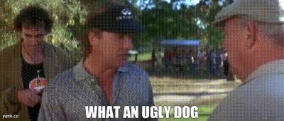 MattAZ54's tweet photo. @FrankieBorrelli @ForePlayPod This guy is leading…. https://t.co/XKRQnZDIAm