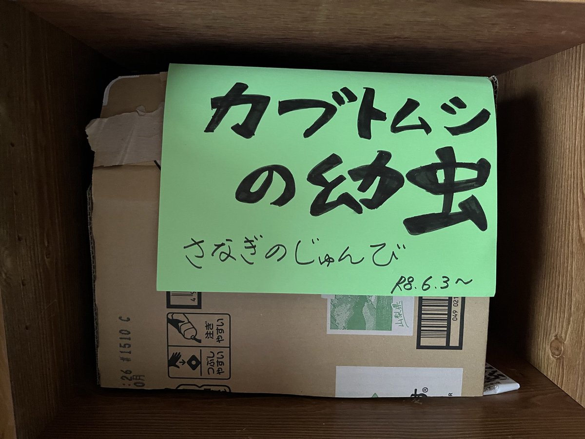 mshb5656's tweet photo. サナギが最近うにうに動くようになってきた。
もうちょっとやでぇ。 https://t.co/jpu9rWyFf8