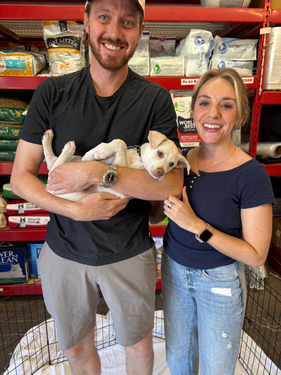 DPSRescue's tweet photo. Cardinal is adopted!
Three smiles. One photo. One forever family. ❤️🐾
#DPSRescue2026
#Adoptions
#DogRescue https://t.co/PE6xncaCfW