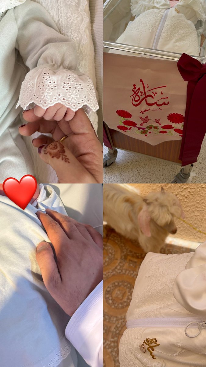 2000__za's tweet photo. نعمة ربي، أزهرت حياتي❤️

30/5/2026 https://t.co/CEiYaHlGLn