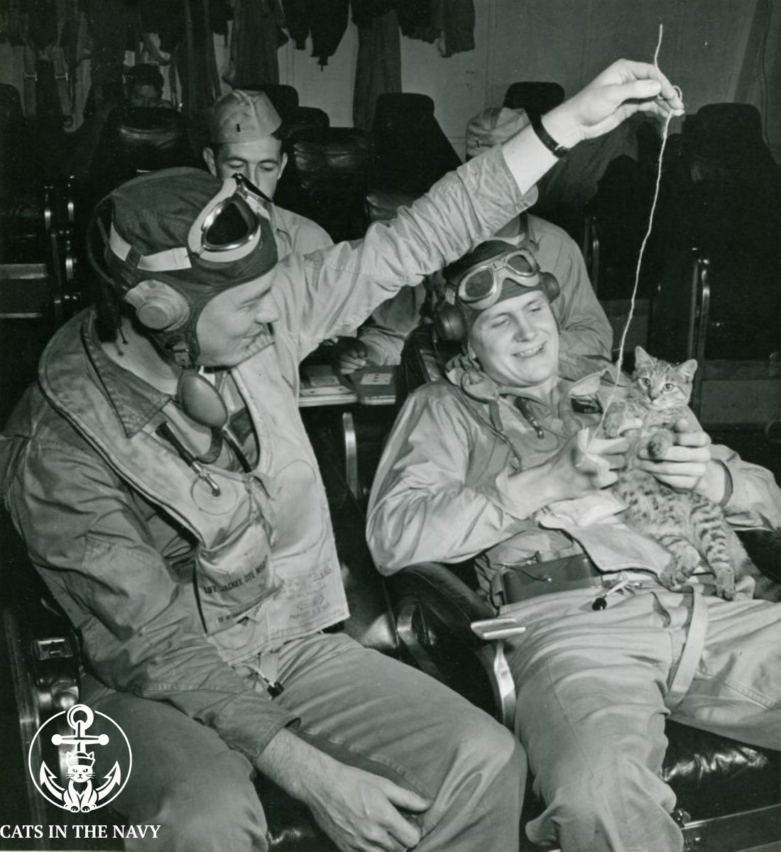 CatsintheNavy's tweet photo. Happy Caturday! These U.S. Navy aviators are playing with their cat in the aircraft carrier's ready room prior to a mission during WWII.
#WWII
#Caturday
#CatsofTwitter https://t.co/iMOFJRAURx