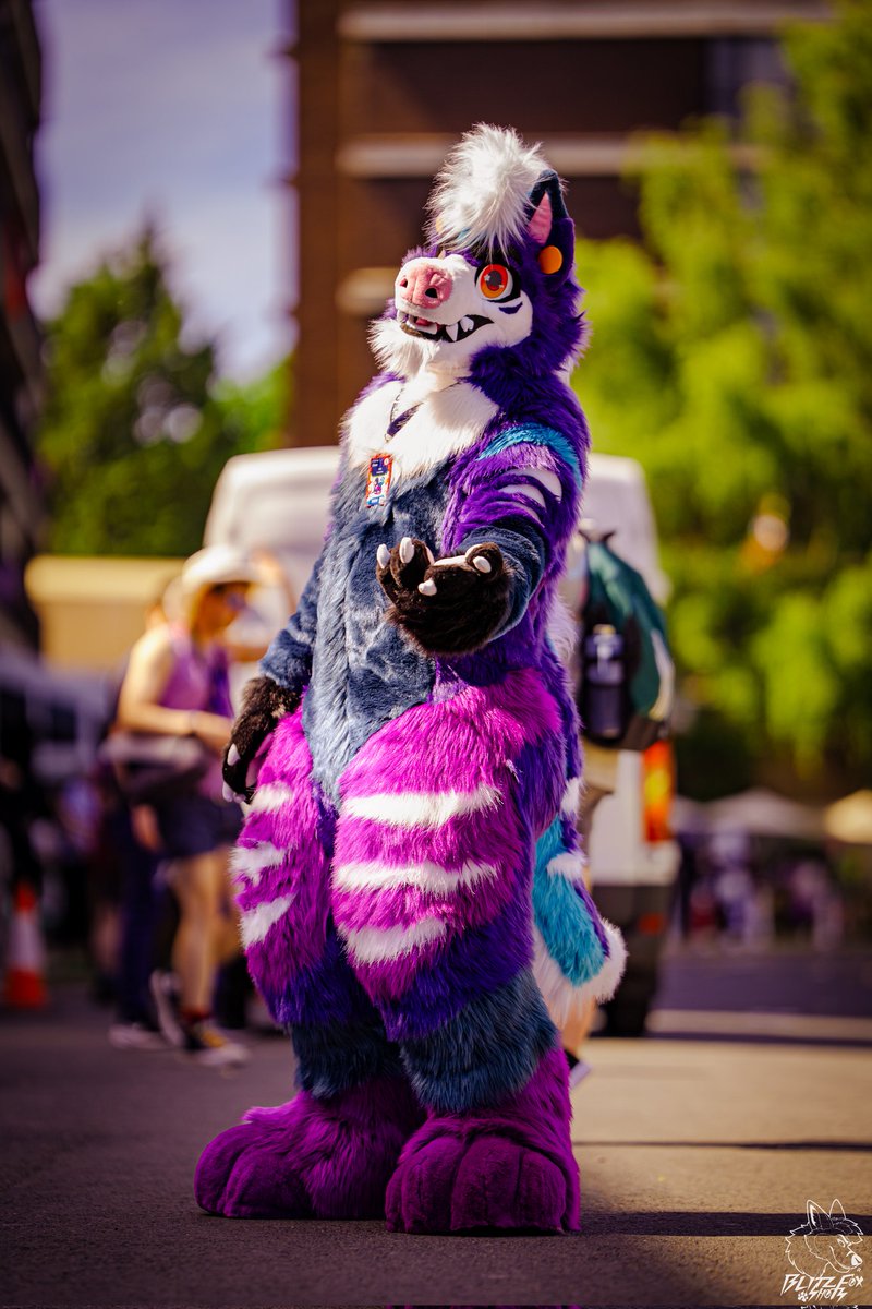 Avardus's tweet photo. Hi I'm Avi!
Welcome to my corner of the internet where I generally post nonsense and cause chaos as a Purple Hyena.

So come and find me at a Convention or Furmeet sometime and let's hangout. https://t.co/NlEM0k5Xek