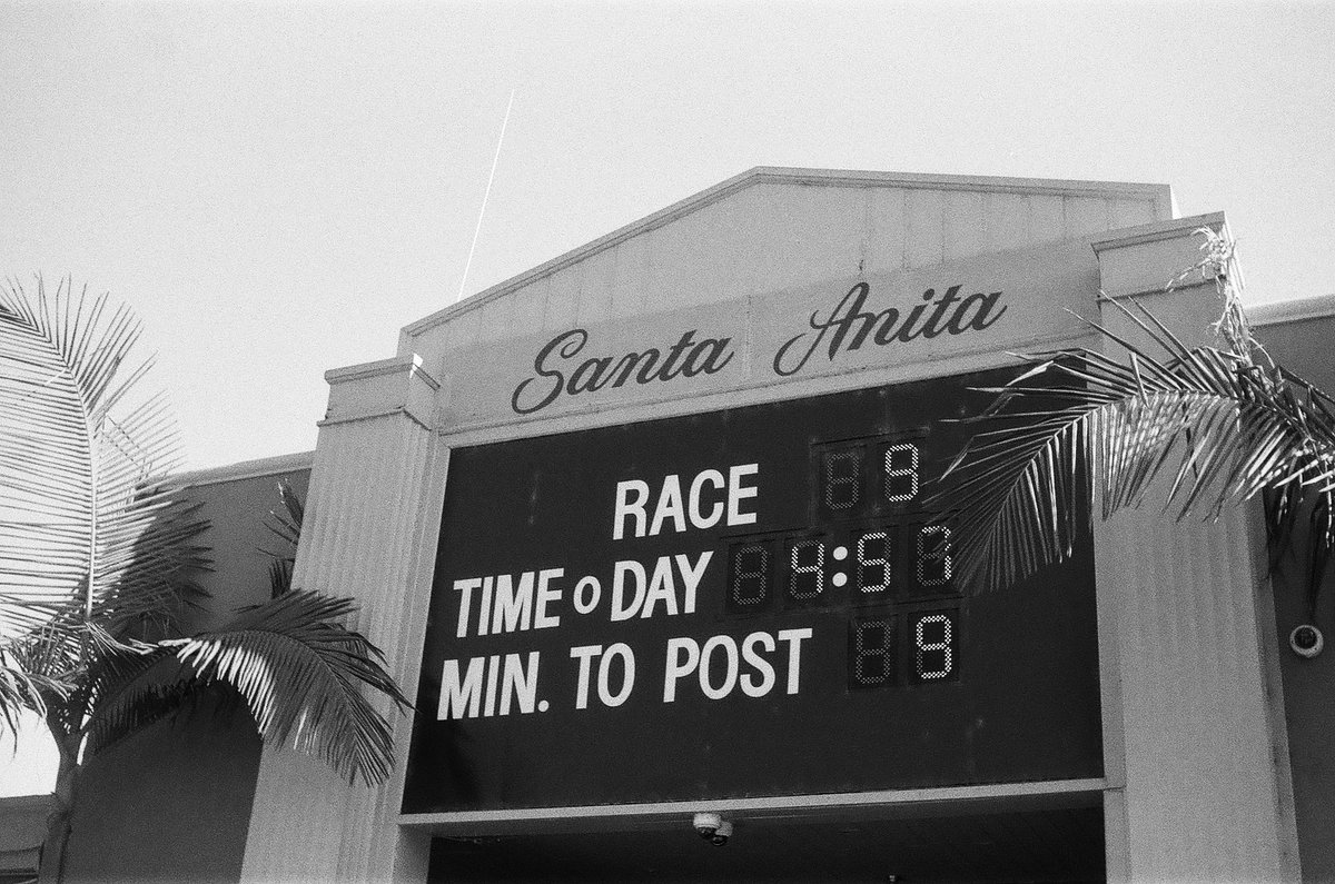 arc_ord's tweet photo. I got my negatives and scans back from my first roll of film. https://t.co/SNFML28RbS