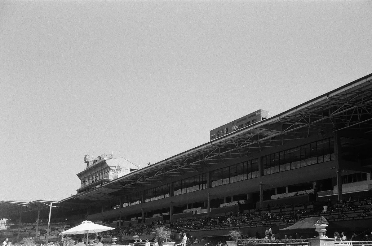 arc_ord's tweet photo. I got my negatives and scans back from my first roll of film. https://t.co/SNFML28RbS
