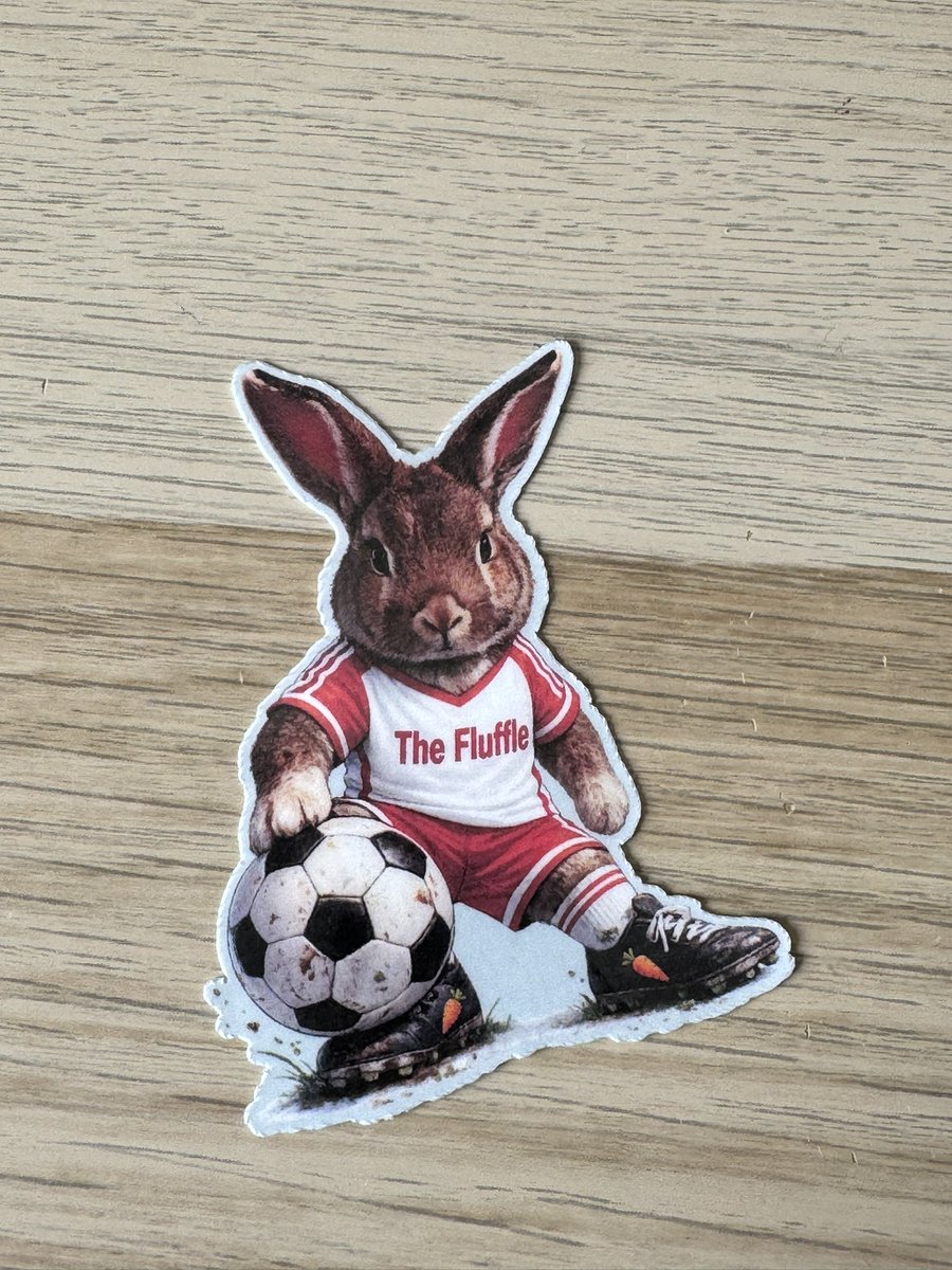 jjrabbithouse's tweet photo. We’ve got new The Fluffle items … 

Yinka, Koko and Penfold, all ready for the World Cup! ⚽️ 

https://t.co/0LPHqji9CE

Non UK? Message to order 🐰 https://t.co/QSoOdioe8F