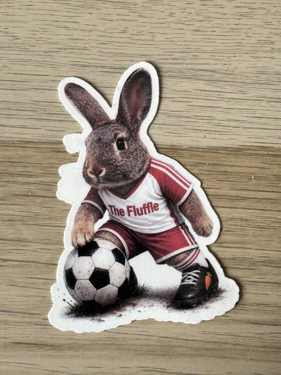 jjrabbithouse's tweet photo. We’ve got new The Fluffle items … 

Yinka, Koko and Penfold, all ready for the World Cup! ⚽️ 

https://t.co/0LPHqji9CE

Non UK? Message to order 🐰 https://t.co/QSoOdioe8F