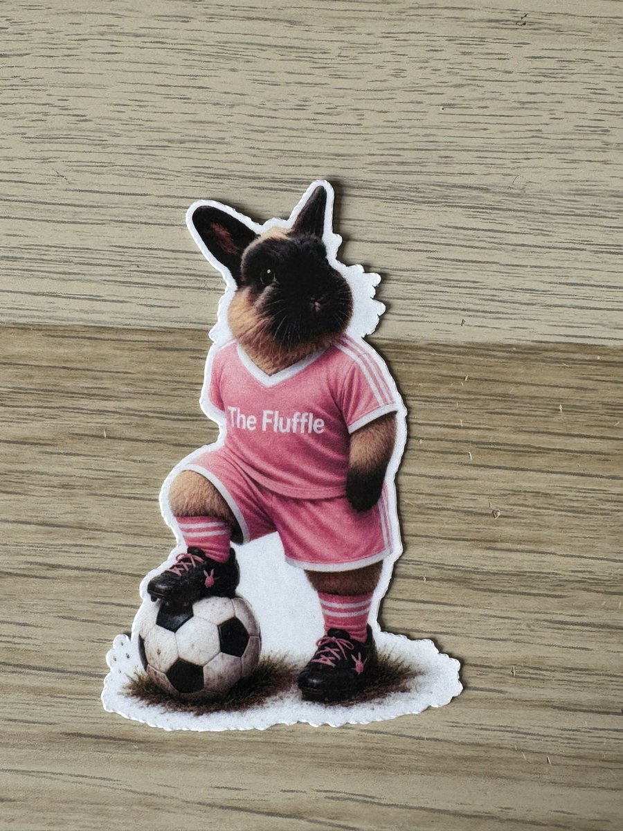 jjrabbithouse's tweet photo. We’ve got new The Fluffle items … 

Yinka, Koko and Penfold, all ready for the World Cup! ⚽️ 

https://t.co/0LPHqji9CE

Non UK? Message to order 🐰 https://t.co/QSoOdioe8F