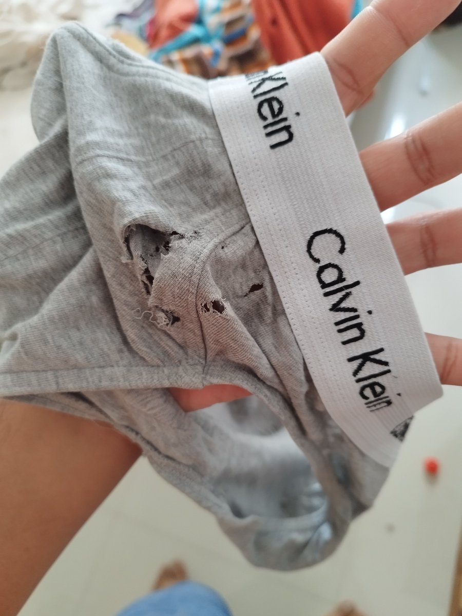 BytePech's tweet photo. Cada ves odio más a mi yo olvidadizo que no cierra las puertas y ai perro que es fan de los chones https://t.co/e3QRE037I7
