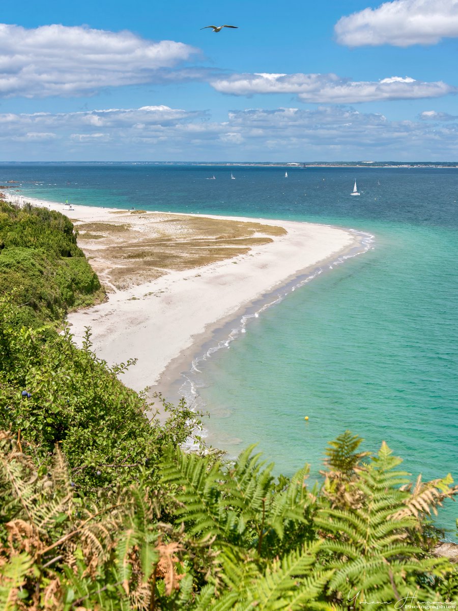 elwaro's tweet photo. Les eaux cristallines de la plage de Poulziorec à l’Île de Groix 🌴 ☀️ https://t.co/BdswLFYUbr