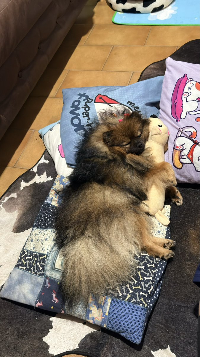 daiabock's tweet photo. https://t.co/W4klr42zZ6