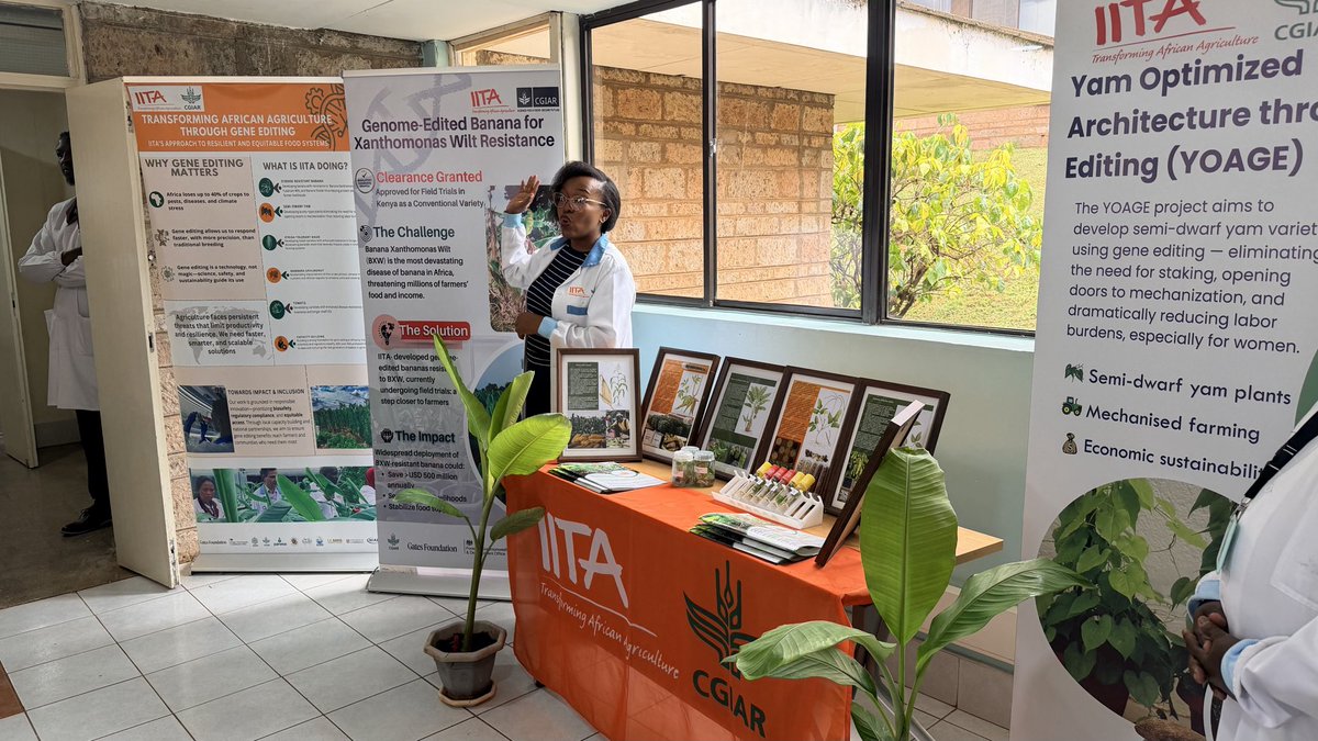 simeonehui's tweet photo. Earlier this week in Nairobi, I joined fellow CGIAR leaders for the GLT meeting to discuss collaboration, management effectiveness, and our shared commitment to agricultural transformation in Africa.

I was also pleased to connect with the IITA team at the ILRI campus. My thanks to the team and to @RachelMulangala , IITA Country Manager for Kenya, for their warm welcome and support.

We also engaged with leaders from the Gates Foundation and Mastercard Foundation. Thank you to Dr Hari Menon  and Dr. Segenet Kelemu for their continued support for science and innovation in Africa.

Our discussions reinforced the importance of CGIAR’s Africa Strategy—Africa-led and CGIAR-enabled.

#CGIAR #AfricaStrategy #IITA #Africa