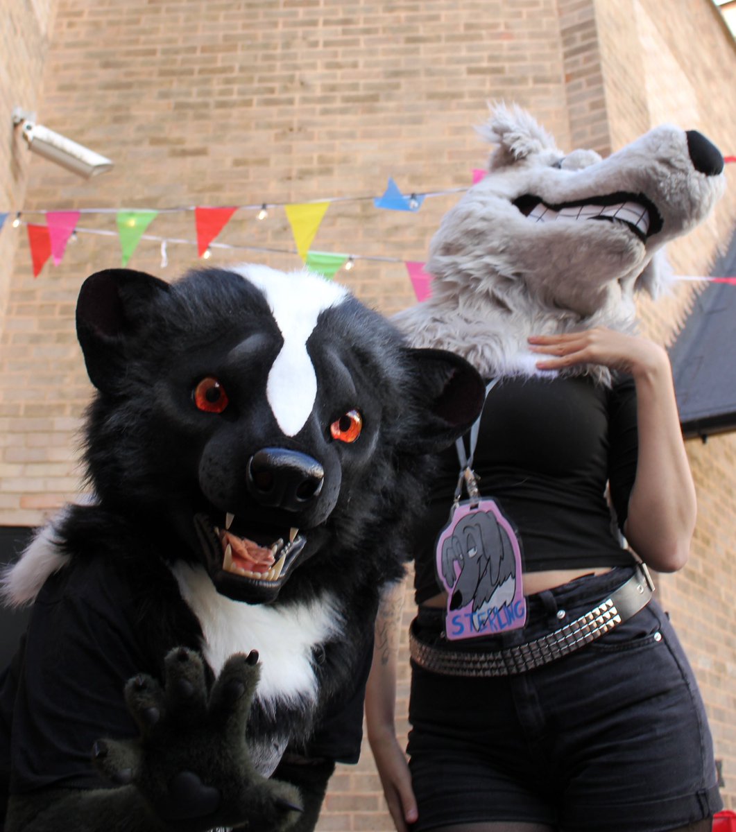 creedycat's tweet photo. more pics from brumfurs :] https://t.co/SxUwLwZK5u