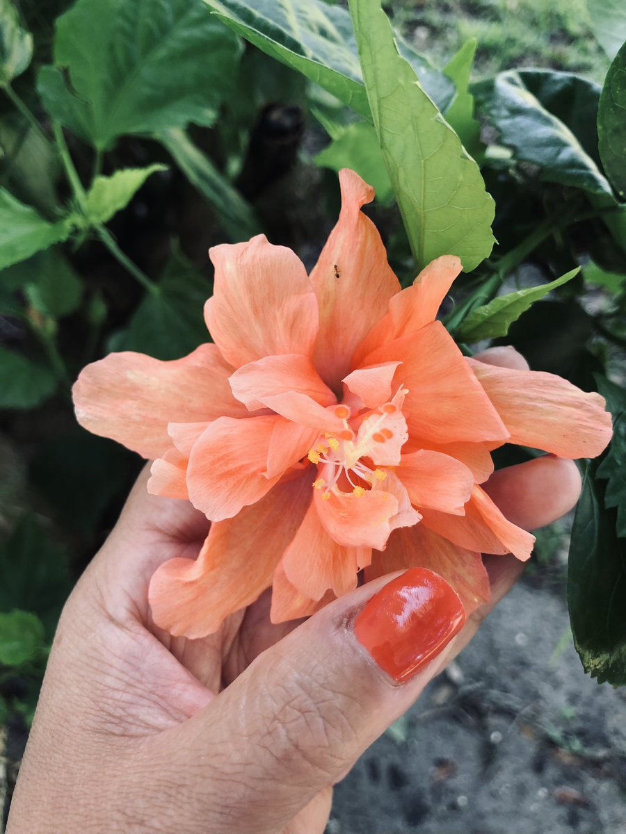 cocoandorange's tweet photo. Summer tropical 🪸

https://t.co/kyl4iimoQn

#vintagejewelry https://t.co/nLBcy2Wt3F
