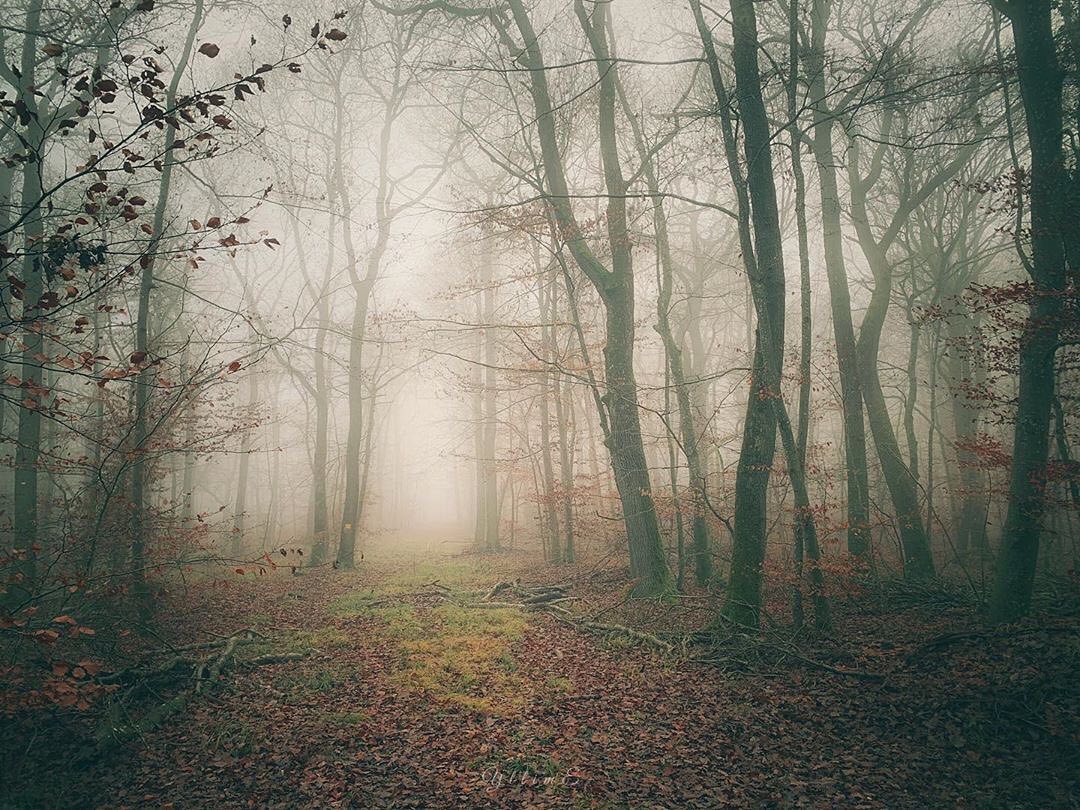 moodmagicpdoe's tweet photo. 🔹 @stagrunner14
Is our featured artist - selected by @soulfulwanderings •
🔹Congratulations! Thank you for sharing your moody magic with us 🔹
.
🔹Please show some love and visit this artists gallery....!! .
🔹 For a chance to be featured......
🔹 Follow: @mood.magic… https://t.co/dp0odqJcVt