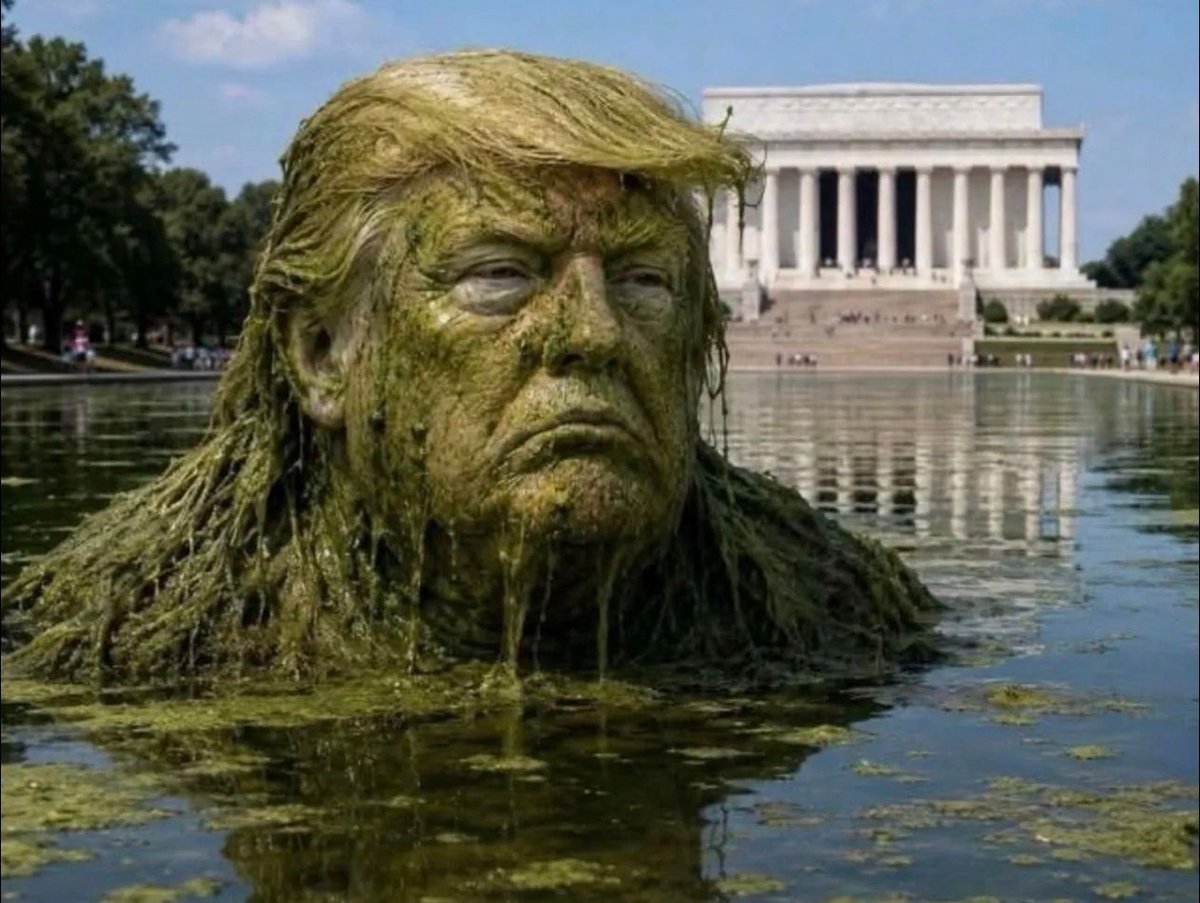 namwella1961's tweet photo. $14 Million was wasted to turn the Reflection Pool into another Trump vanity project that ended badly.  How many more millions will it take to fix the mess Trump made?

MAGA: Make Algae Great Again!💚
#ETTD #TrumpIsUnfitForOffice #VoteOutEveryRepublican #ReflectionPoolFail https://t.co/TPmJTgjt2N