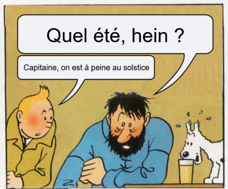 Maître Pandaï tweet media
