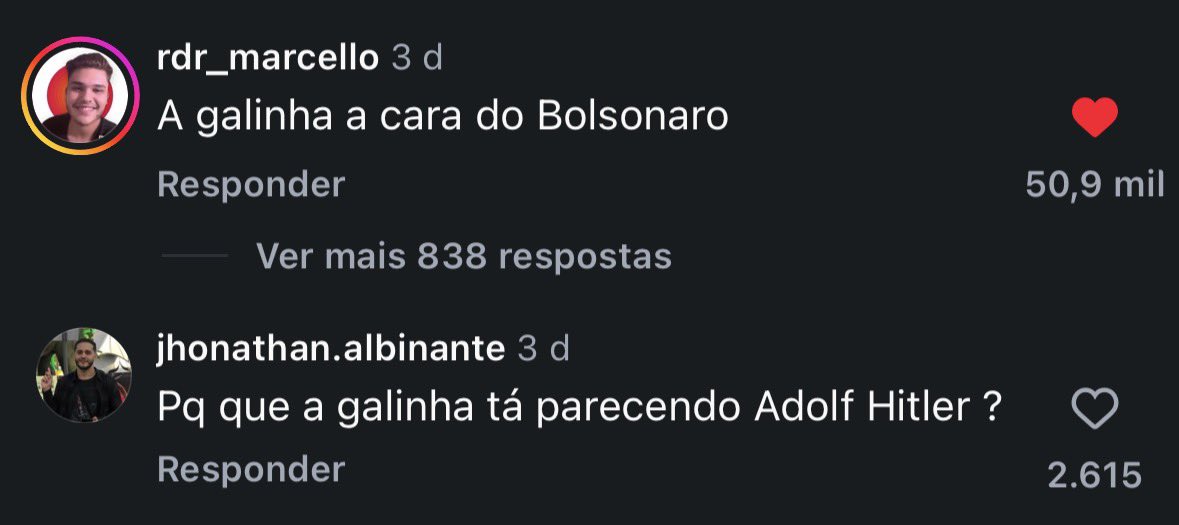 _nicolepmp's tweet photo. vi um video de uma galinha q quase se matou e esses comentarios me pegaram desprevenida https://t.co/PLPXSkOrjp