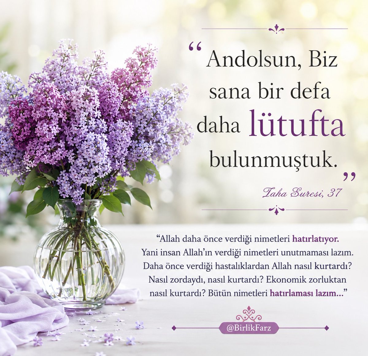 İslam Birliği tweet media