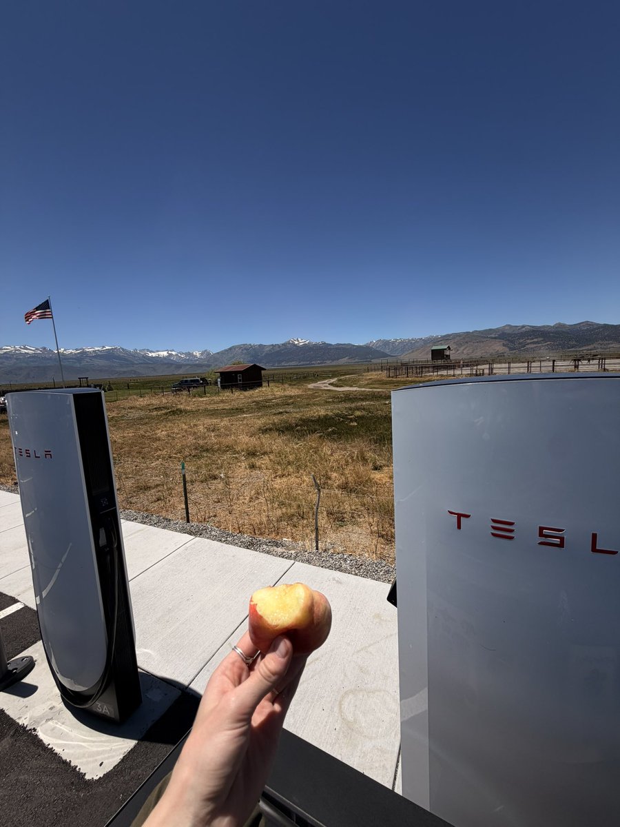 battleangelviv's tweet photo. Top 10 most beautiful spots I’ve ever charged and eaten a peach in https://t.co/J26XezMqGd