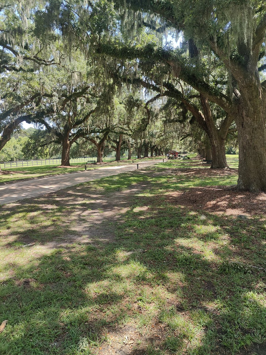 Author_ChilubaJ's tweet photo. Great visit to @Boone_Hall, a historic site worth a visit https://t.co/hyAbpp7H4L