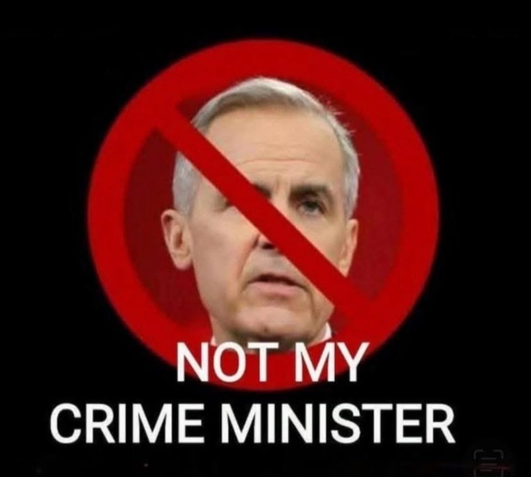 susyq969's tweet photo. @MarkJCarney What about combating government corruption? 🤷‍♀️ https://t.co/vluX0crgVm