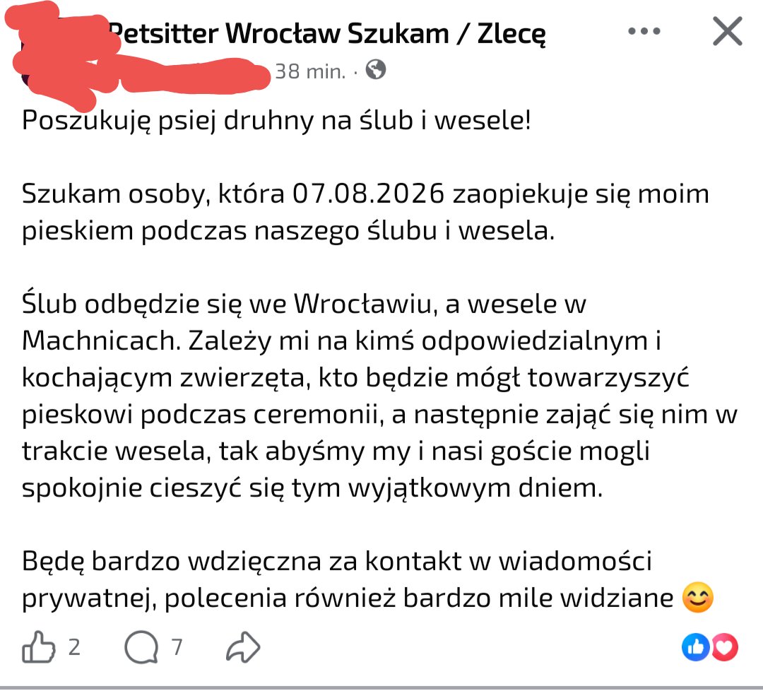 izzoPG's tweet photo. A wy szukaliście druhny dla psiecka? #zajob https://t.co/l6mmBAEWBb