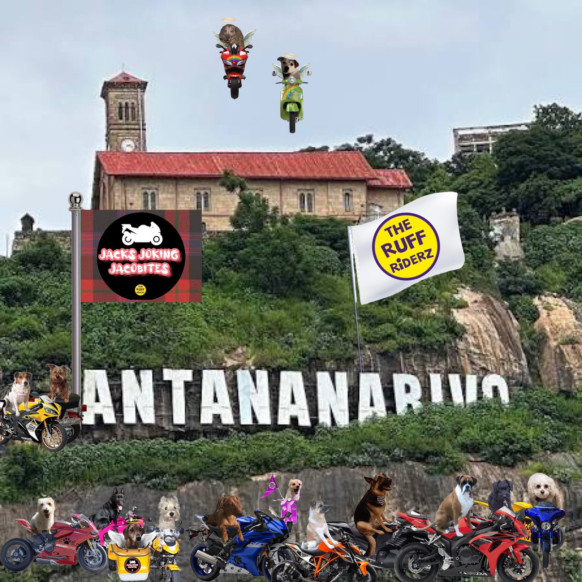 JackRussellBro2's tweet photo. Thatโs better!!
Now it is pawfect and much better than the Hollywood sign!
YAY FOR US!!!
#JacksJJs #TheRuffRiderz https://t.co/YkdKEy5x6F