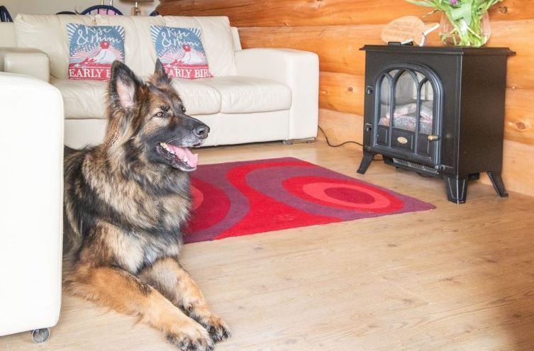 WeAcceptPets's tweet photo. 🐾 Spring Heath Log Cabins &amp; Fishery 🐾

The site welcomes up to two well-behaved dogs per cabin for a small additional charge, making it an excellent choice for those wishing to holiday with their four-legged companions. 🐕

Accepts 🐶 🐈
https://t.co/6LfMi1aaJ4 

#Shropshire https://t.co/S9yXxQ1vih