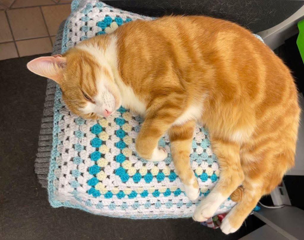 TheStourbridge's tweet photo. Night night sweet dreamies 

Never underestimate the power of a smile

A smile won’t solve every problem, it can brighten a difficult day, lift a heavy heart &amp; remind someone they’re not alone

If you managed a smile today, no matter how small, that’s something worth celebrating. https://t.co/2pIeanUsYr