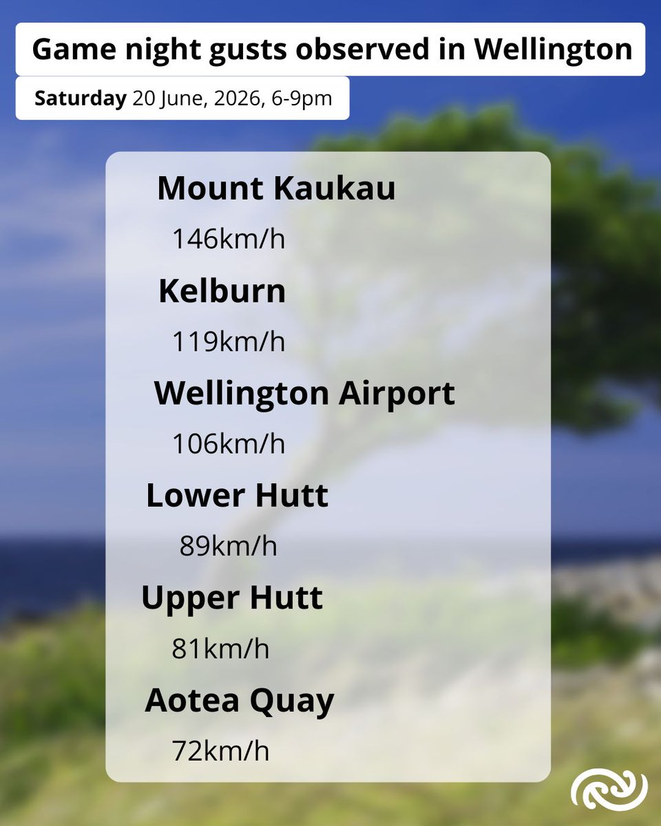 Background shows a blurred image of a tree bent sideways by the wind on a hill by the sea. A heading reads "Game night gusts observed in Wellington, Saturday 20 June 2026, 6 to 9pm". A table of gust speeds in kilometres per hour reads "Kaukau 146 Kelburn 119 Airport 106 Lower Hutt 89 Upper Hutt 81 Aotea Quay 72".