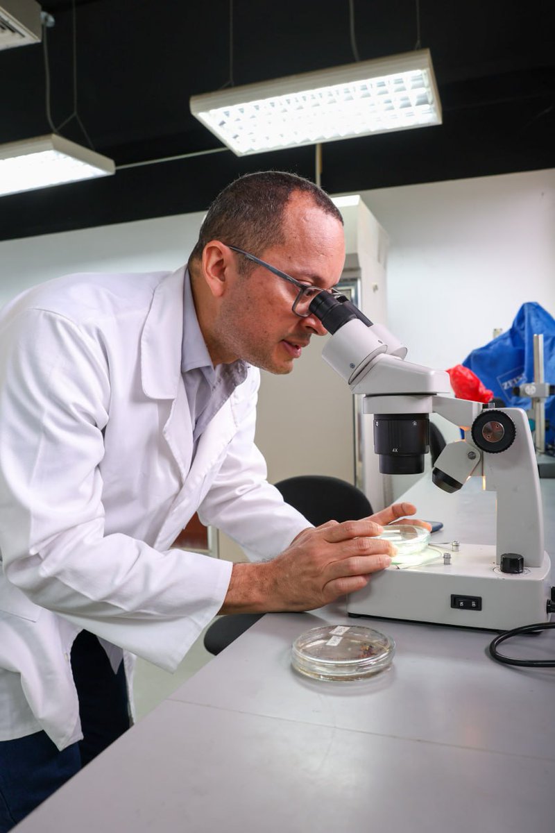 fonacit_ve's tweet photo. #Conoce || La investigación científica en Venezuela tiene rostro de entrega y compromiso. El Dr. Andy Díaz @IDEA_fundacion lidera proyectos clave para el desarrollo agrícola y la soberanía alimentaria del país. 🚜🧬
Lee más:
🔗 https://t.co/zWSRsp5tZO https://t.co/9KMfqpSy6q