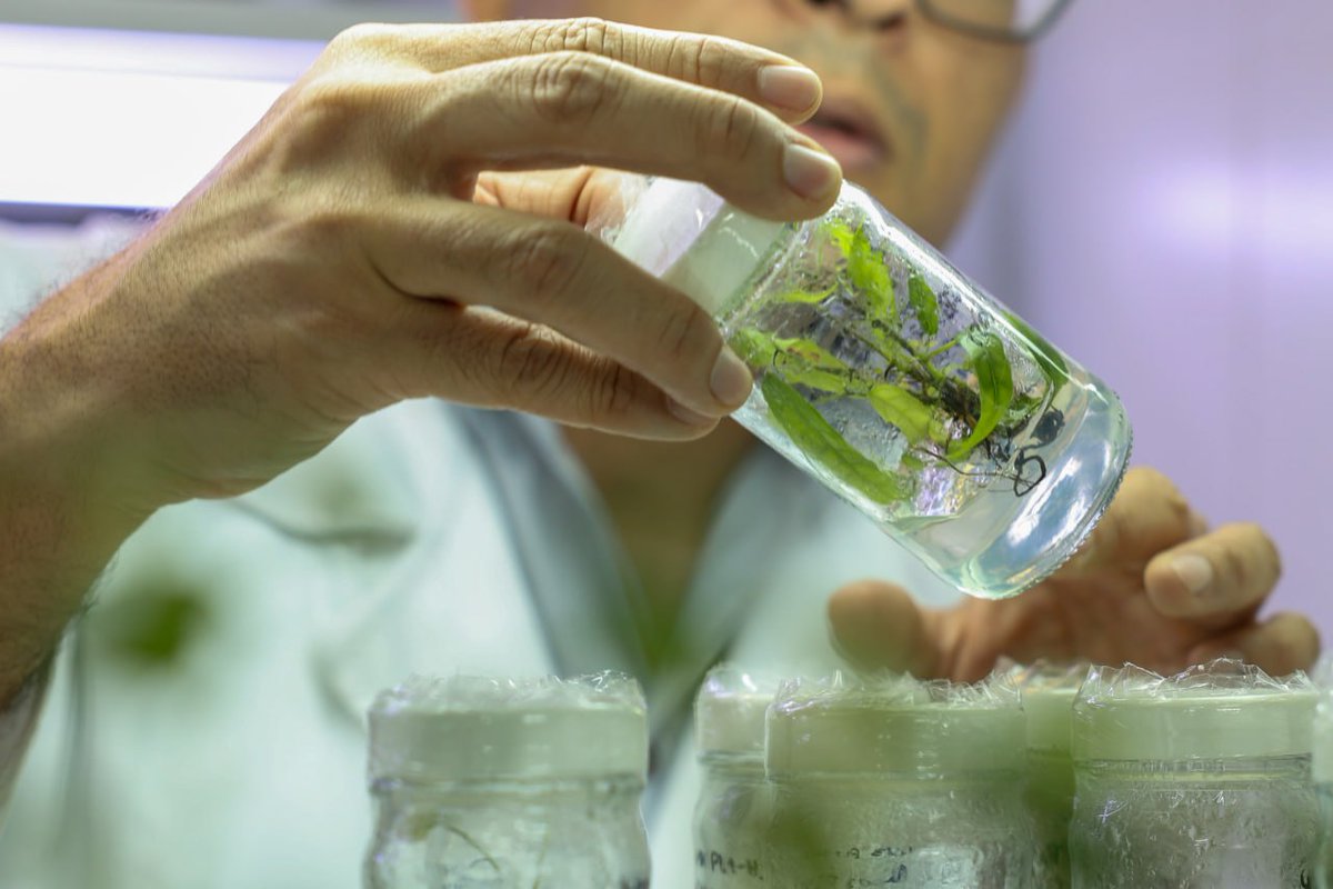 fonacit_ve's tweet photo. #Conoce || La investigación científica en Venezuela tiene rostro de entrega y compromiso. El Dr. Andy Díaz @IDEA_fundacion lidera proyectos clave para el desarrollo agrícola y la soberanía alimentaria del país. 🚜🧬
Lee más:
🔗 https://t.co/zWSRsp5tZO https://t.co/9KMfqpSy6q