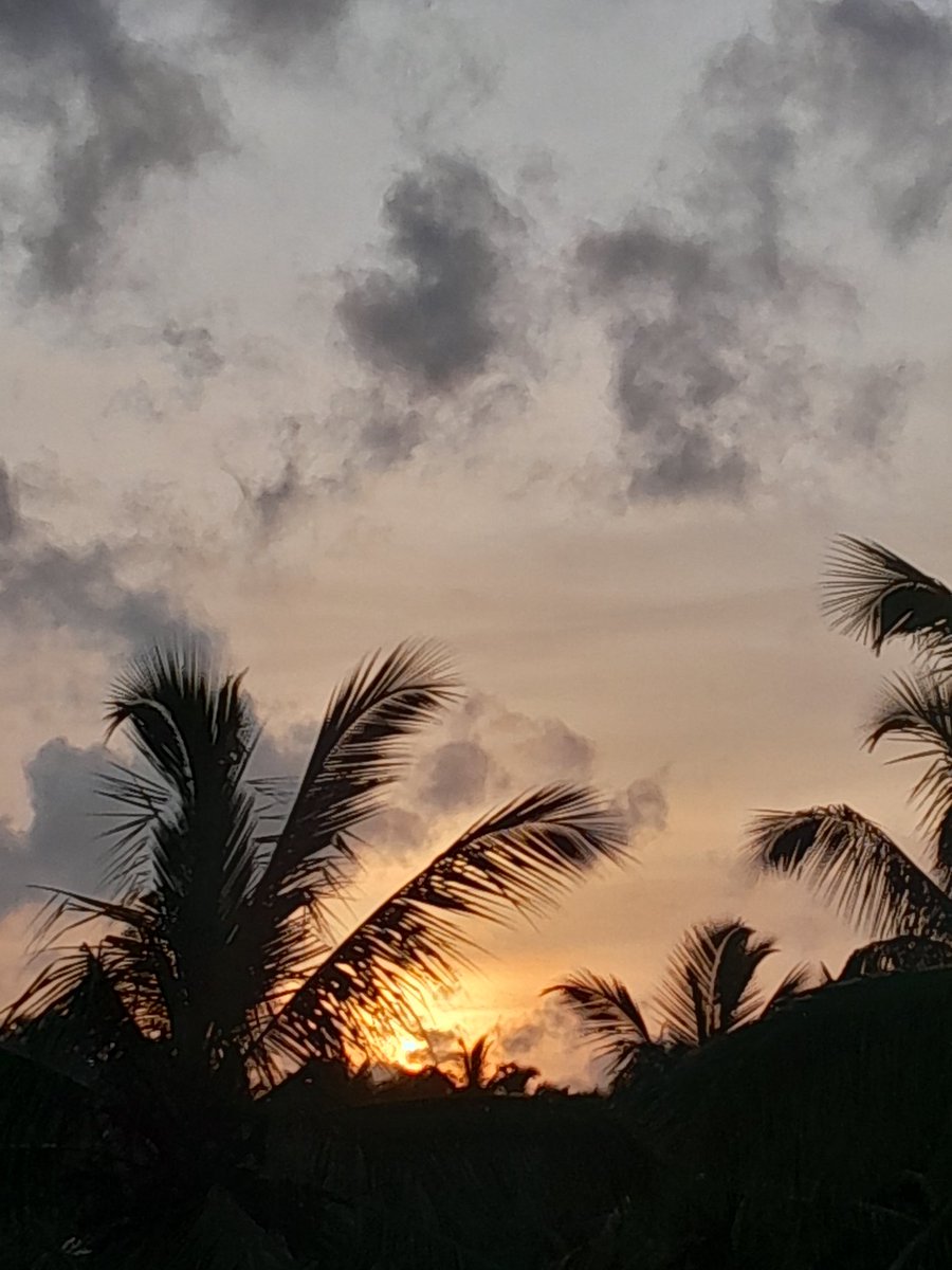 AyeshanMan's tweet photo. Photo a day
Year 3 day 289 https://t.co/3U0YSBr8lj