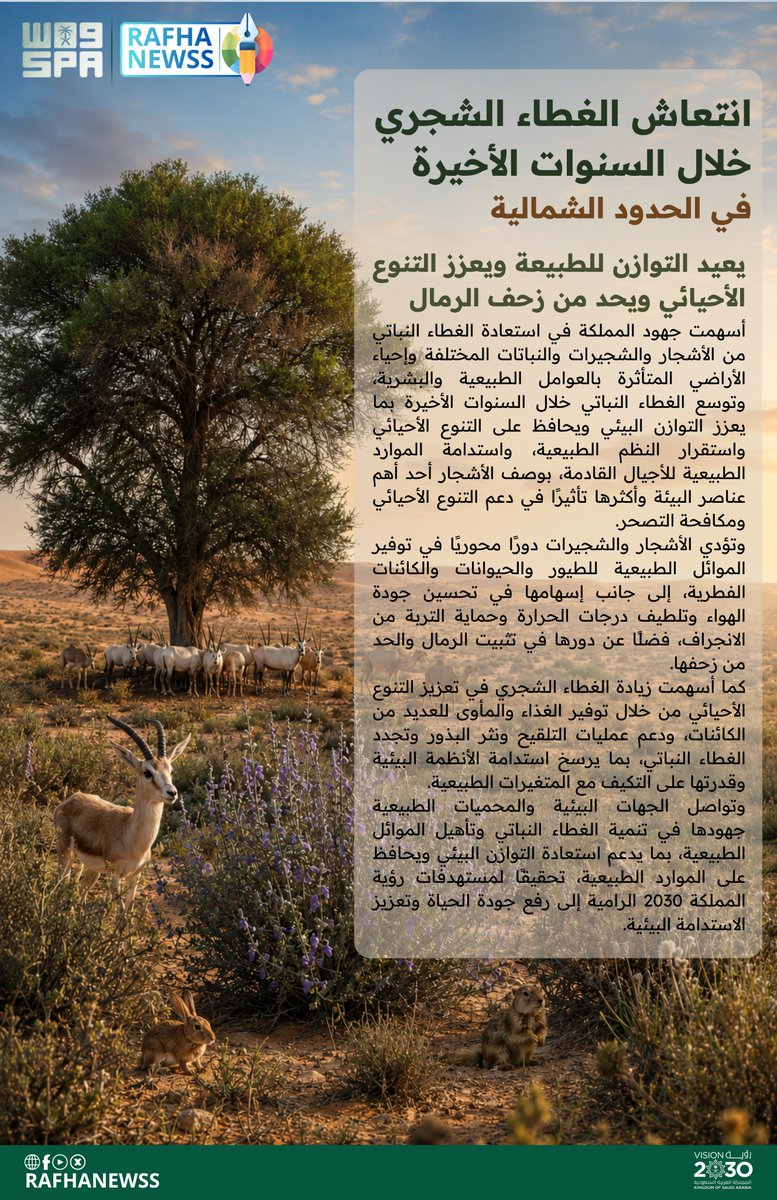 rafhanewss's tweet photo. #الحدود_الشمالية :
انتعاش الغطاء الشجري خلال السنوات الأخيرة يعيد التوازن للطبيعة ويعزز التنوع الأحيائي ويحد من زحف الرمال .

#الحدود_الشمالية 
#عرعر #رفحاء #طريف #العويقيلة https://t.co/aqDJyB5ir3