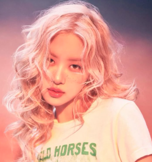AboutMusicYT's tweet photo. 10 years ago today, Rosé was revealed as a member of BLACKPINK. https://t.co/CftOmDyDuT