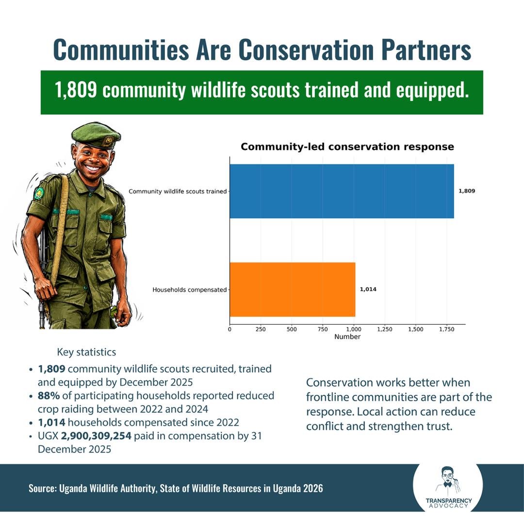 illictfinance's tweet photo. Wildlife conservation is not only about protecting animals; it's about supporting people too.

1,809 community wildlife scouts trained. 1,014 households compensated. 

Strong communities are key to fighting wildlife crime and protecting Uganda's biodiversity.
#WildlifeCrimeUG https://t.co/cxLThhWbC0
