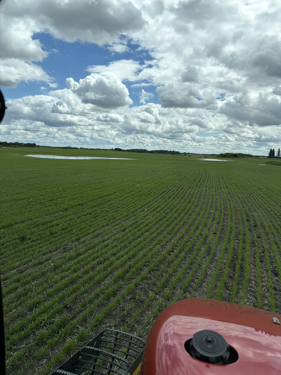 shymmer33's tweet photo. First day all year that seems like a actual spray day… can’t imagine the amount of acres that will be sprayed today in east central Saskatchewan and western Manitoba #spray26 https://t.co/BFkqO51uXh