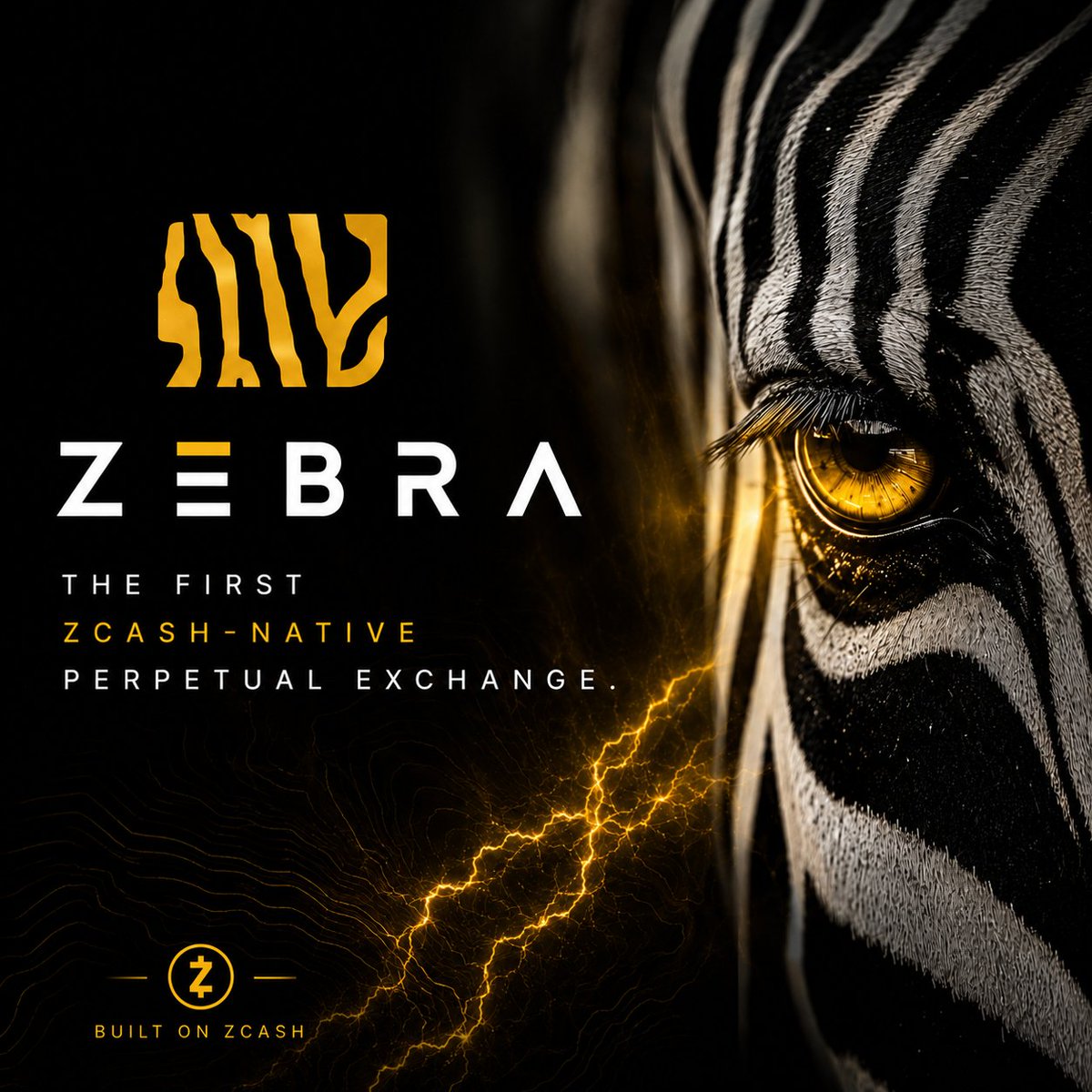 Zebra tweet media